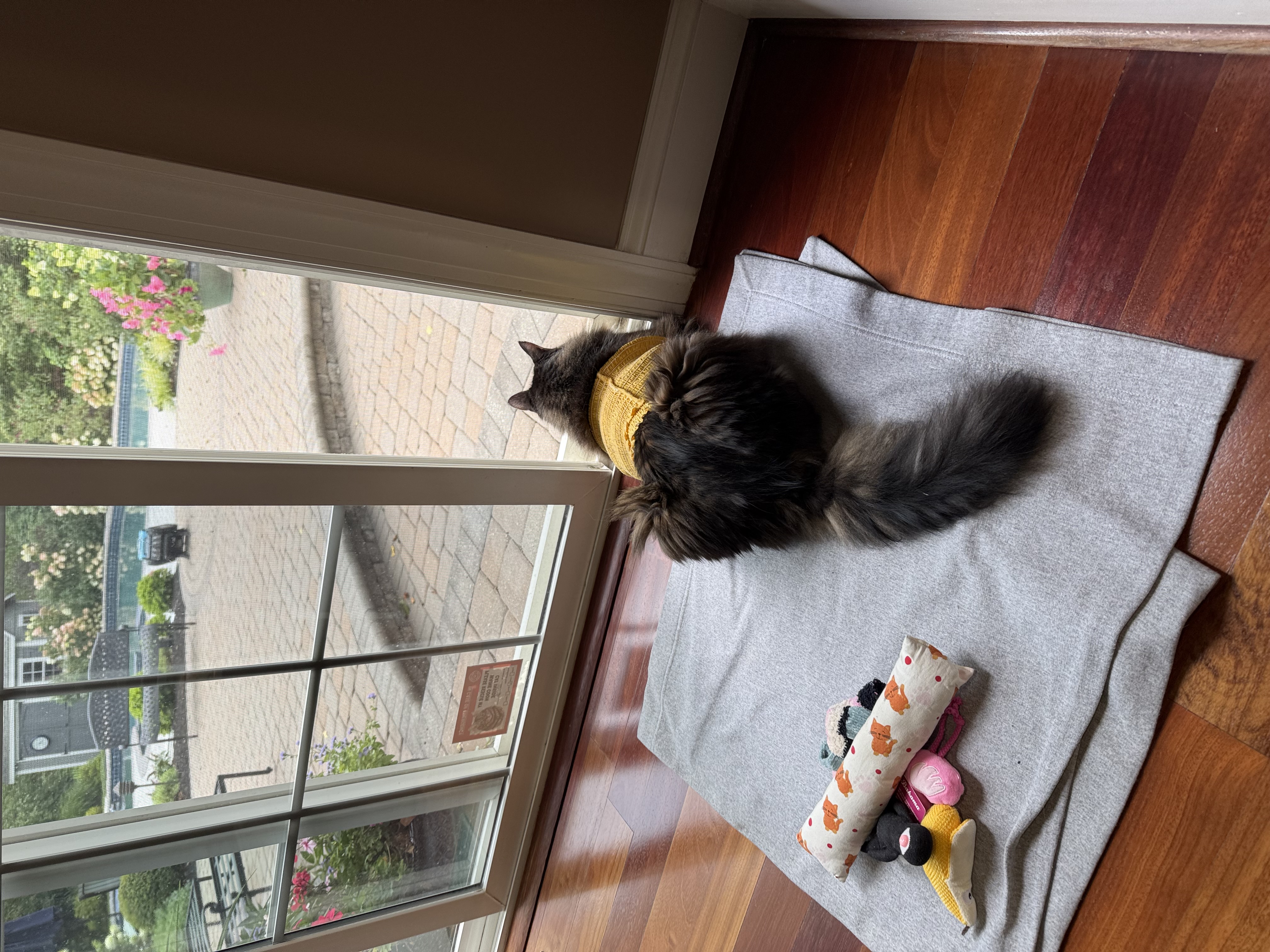 IMG_5083.jpeg