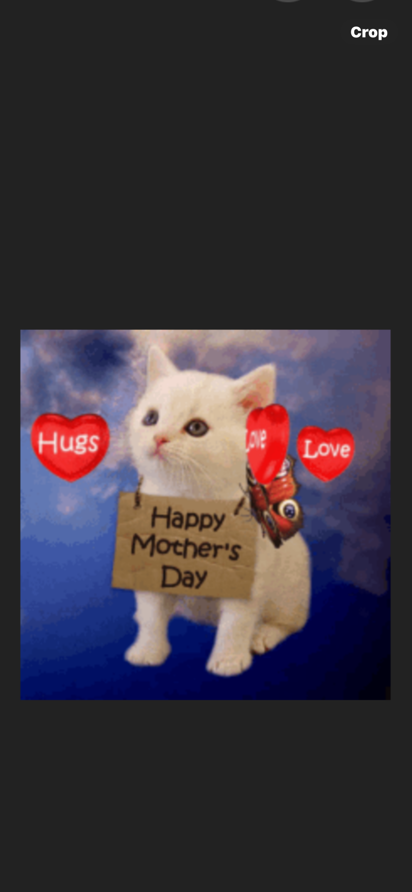IMG_5365.png