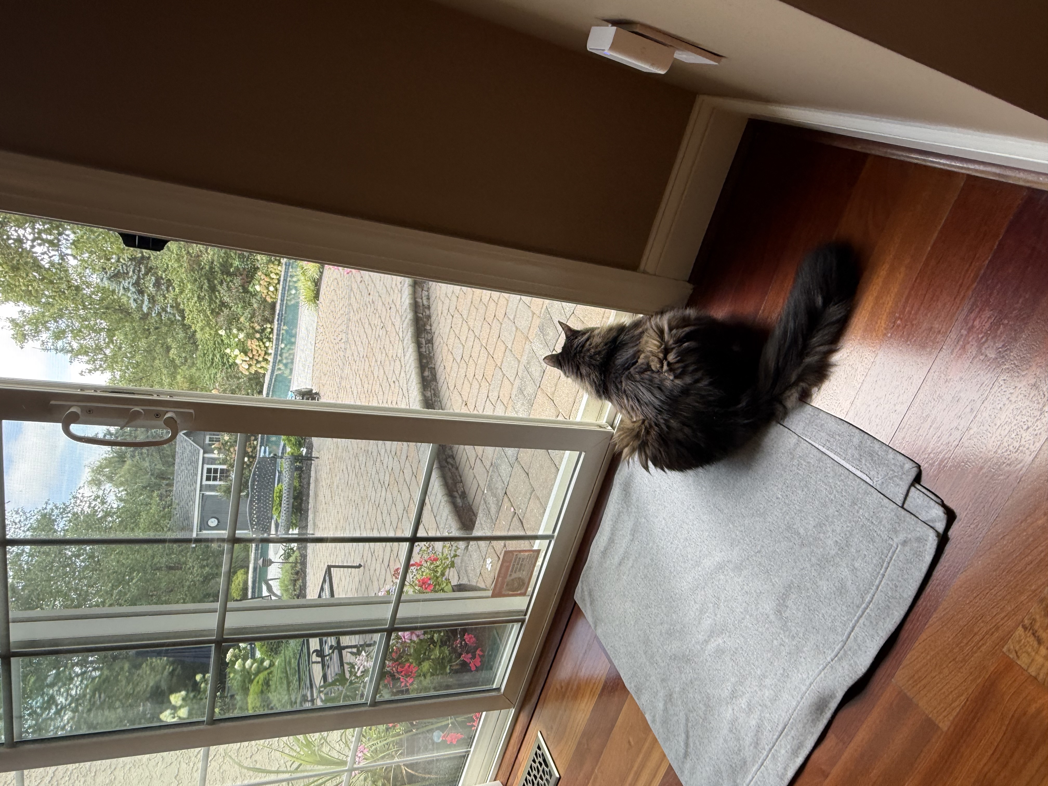 IMG_5627.jpeg