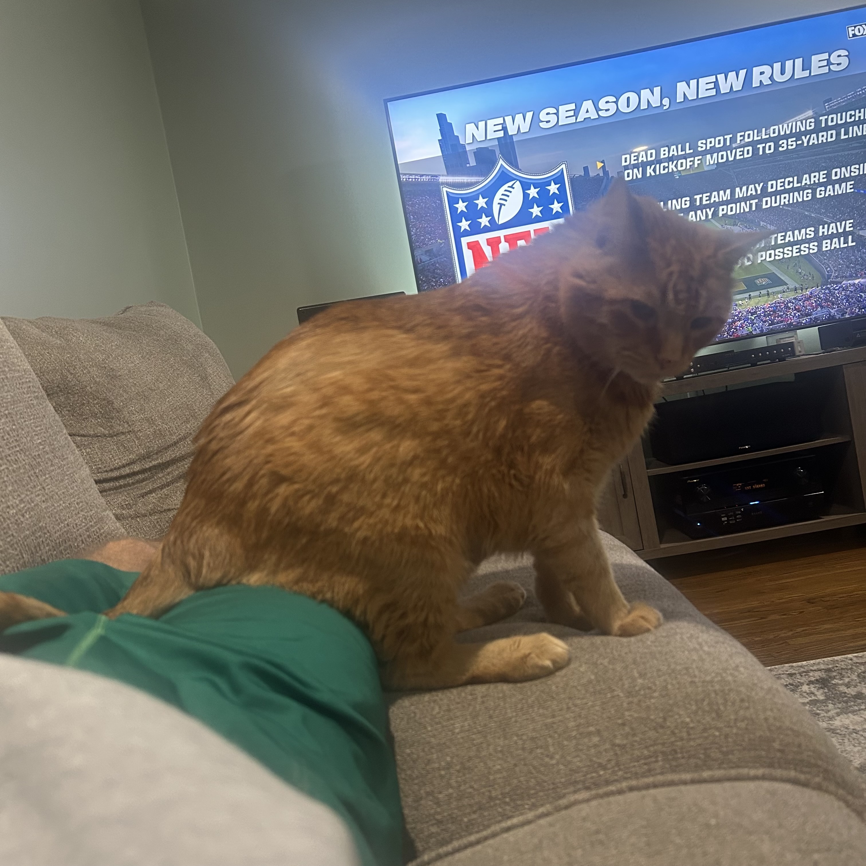 IMG_6082.jpeg