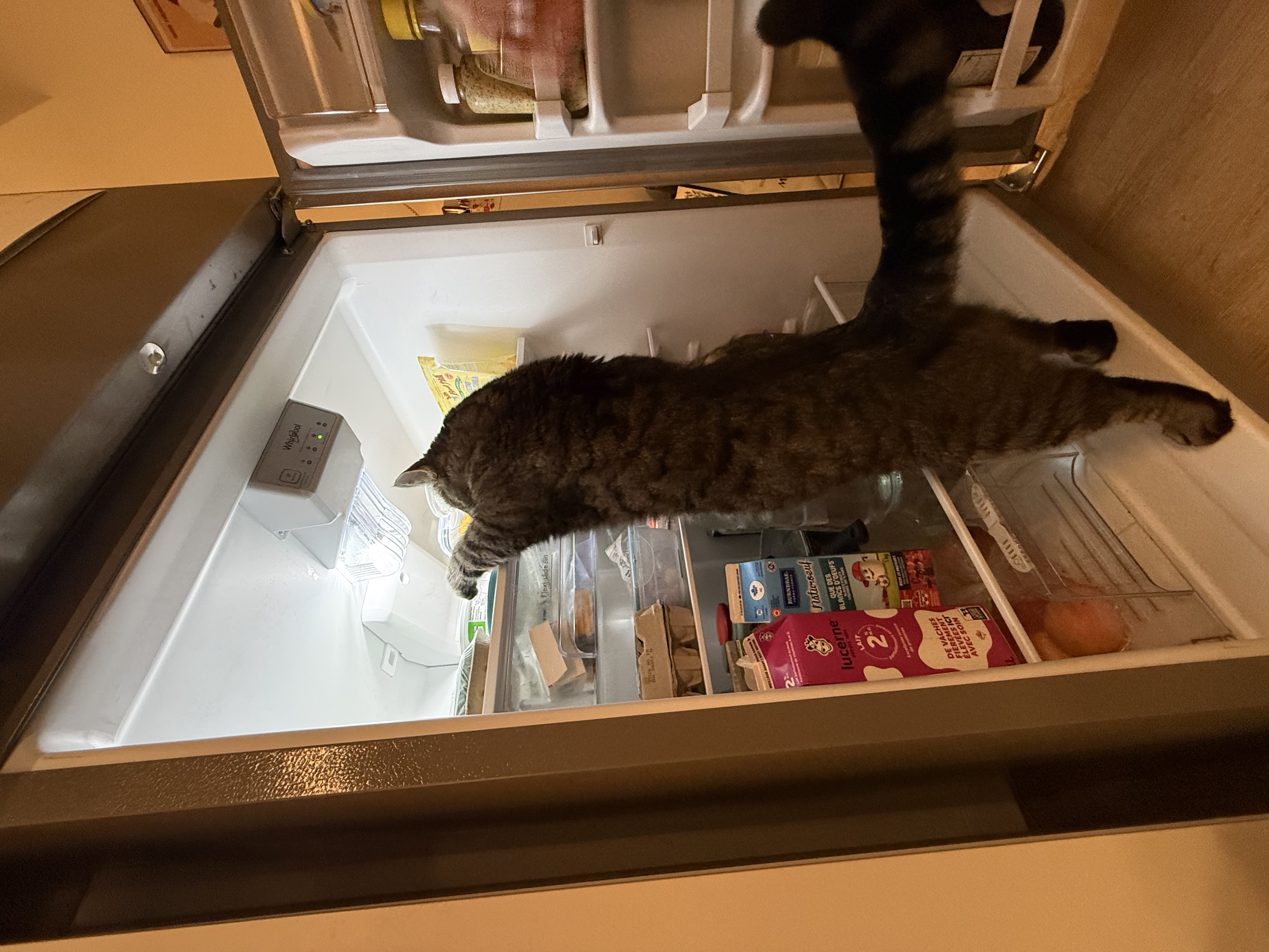 IMG_6180.jpeg