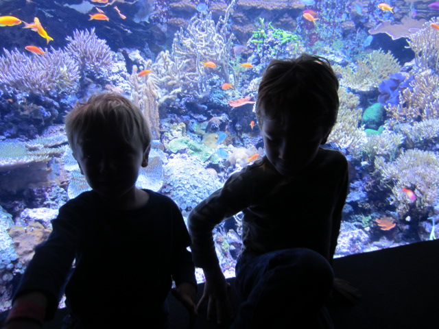 IMG_7526.JPG