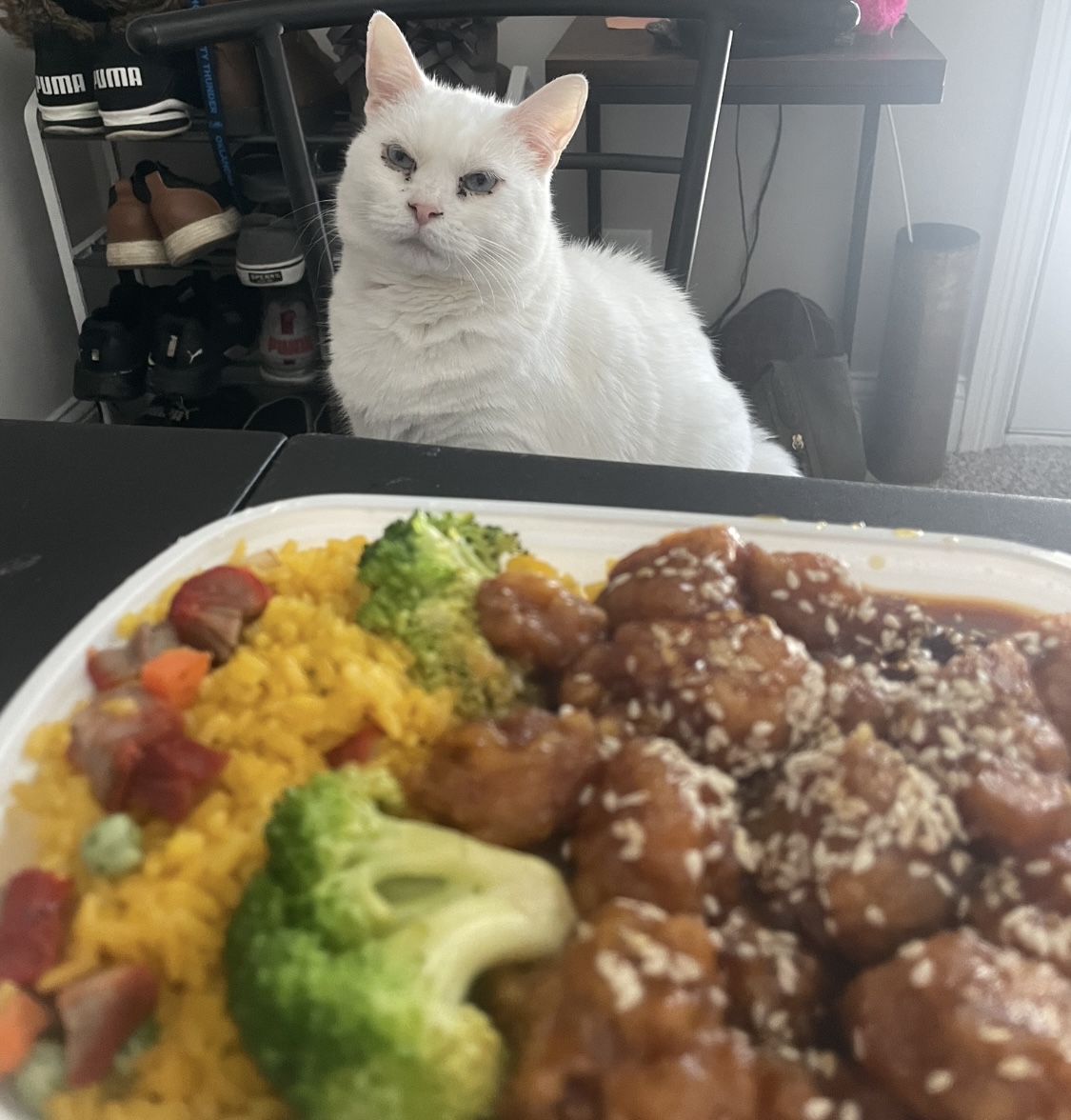 IMG_7674.jpeg