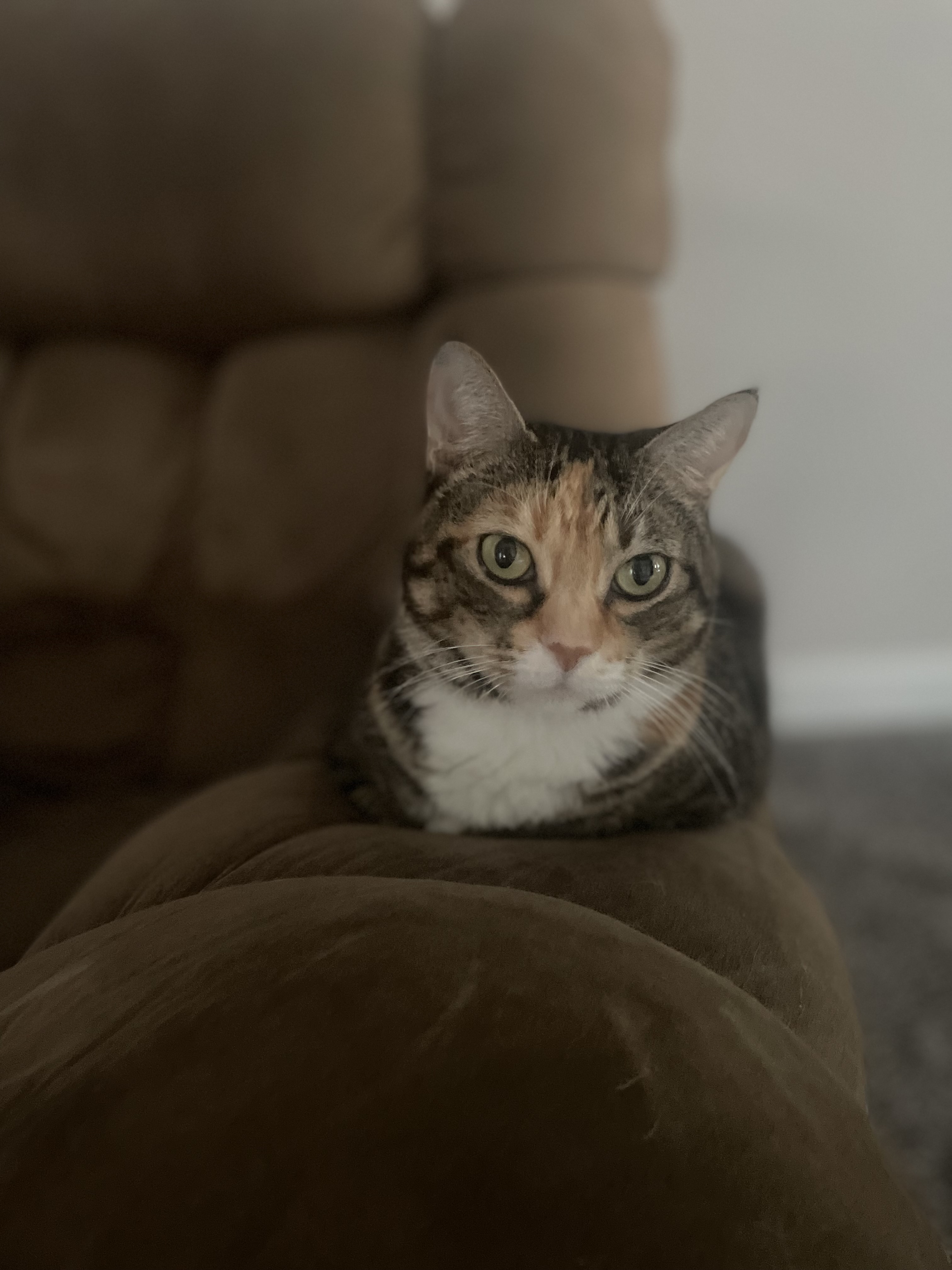 IMG_8207.jpeg