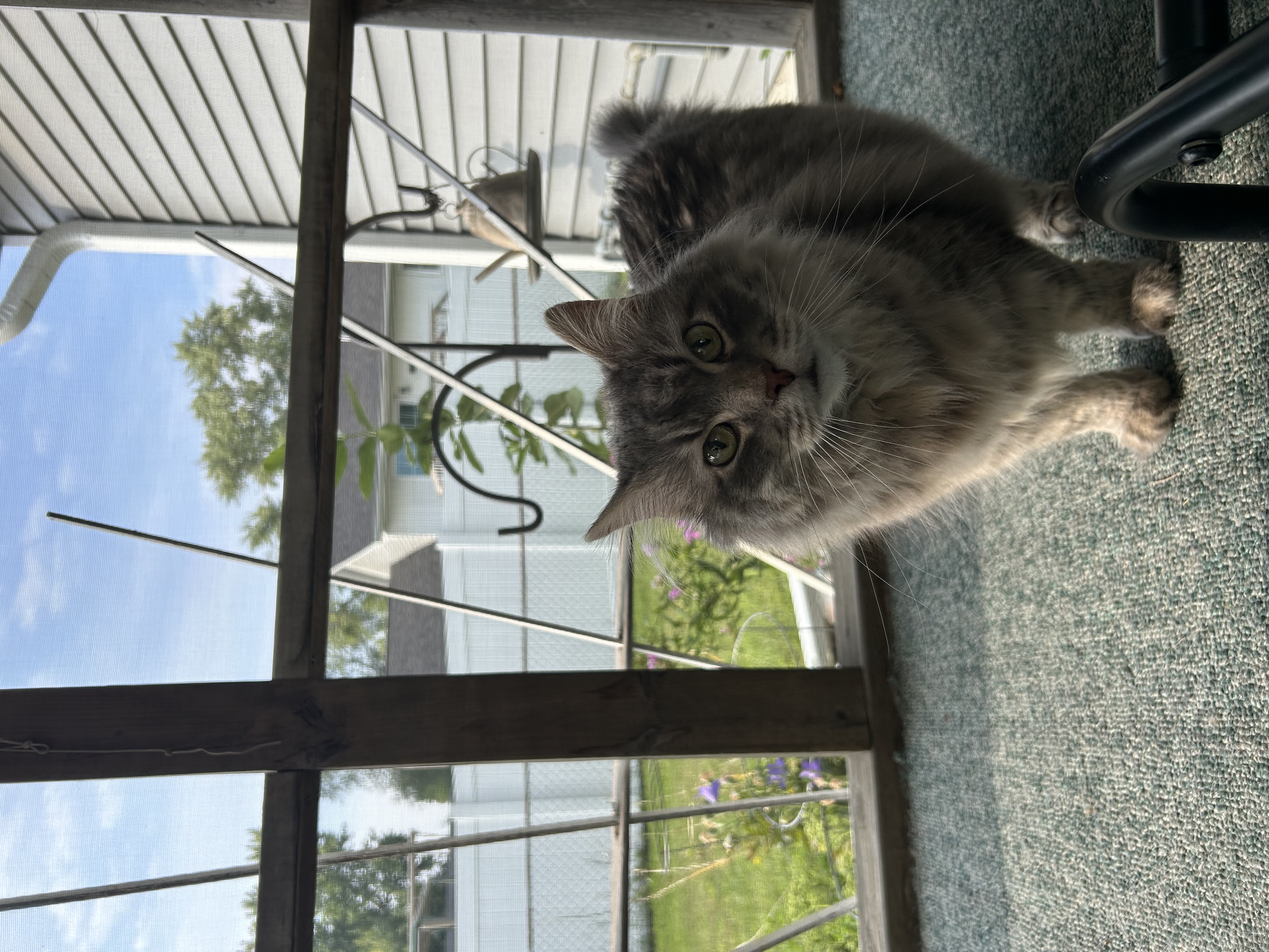 IMG_8826.jpeg