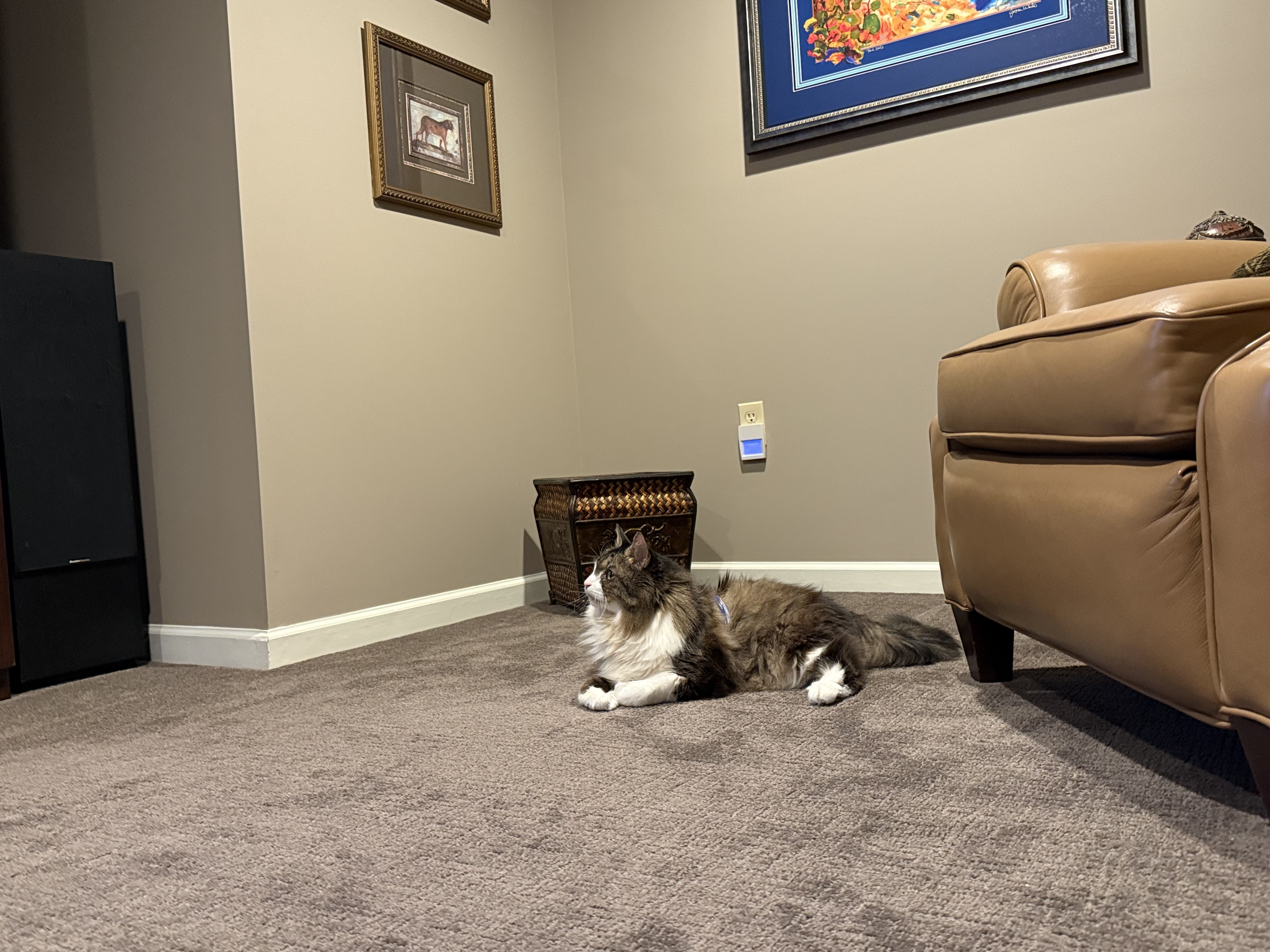 IMG_9934.jpeg