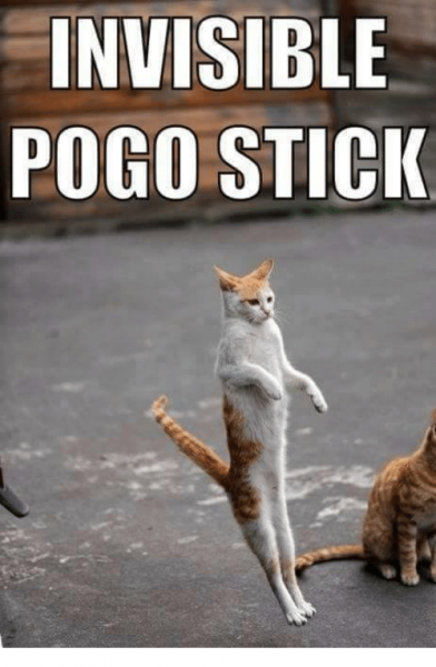 invisible-pogo-stick-7226792.png