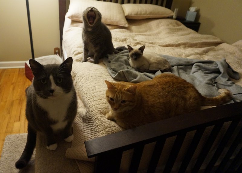 Iris's bodyguards.JPG