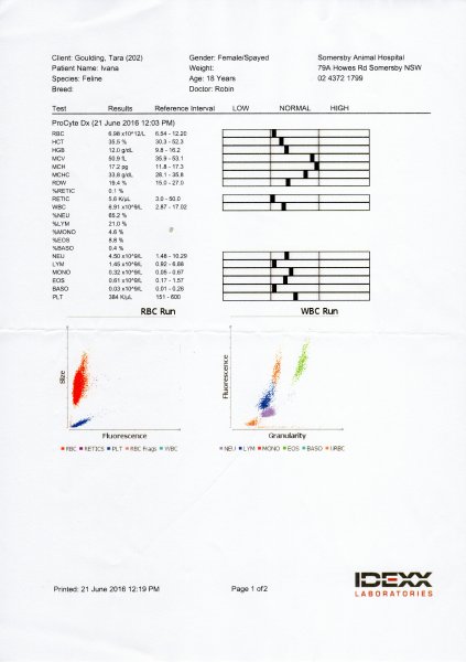 Ivana's Labs Jun16 p1.jpg