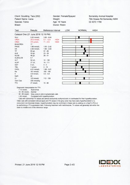 Ivana's Labs Jun16 p2.jpg