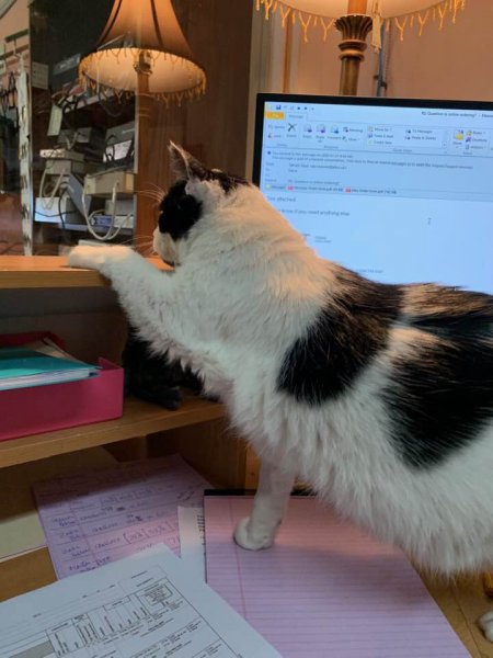 Jan 31 2020 at work.jpg