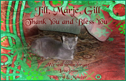 JILL MARJE GILL 425X275.jpg