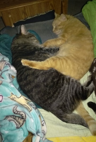 Leo and Little Dude - 11-15-2018b.jpg