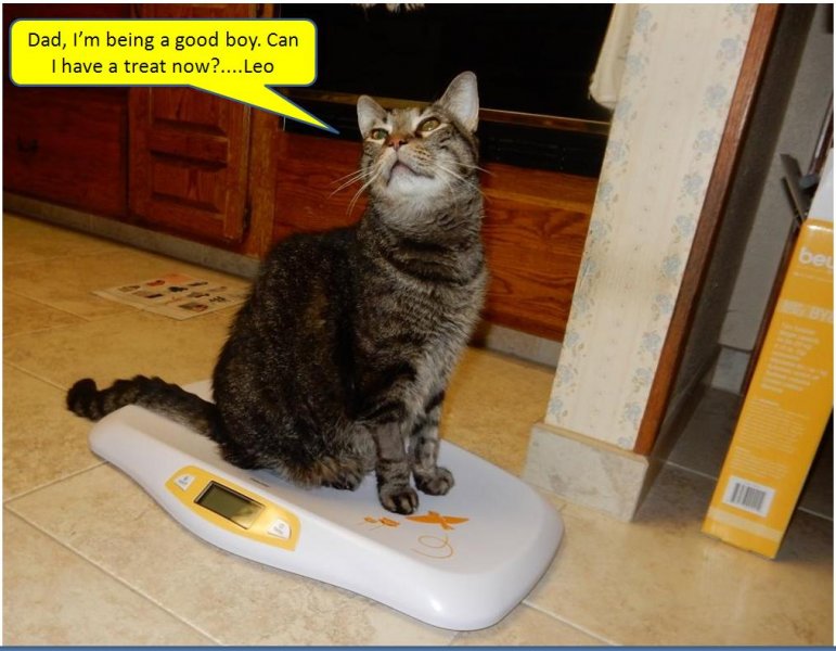 Leo on new baby scale 05-10-2019c.jpg