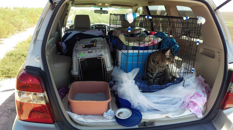 Leo on way trip to CSU.jpg