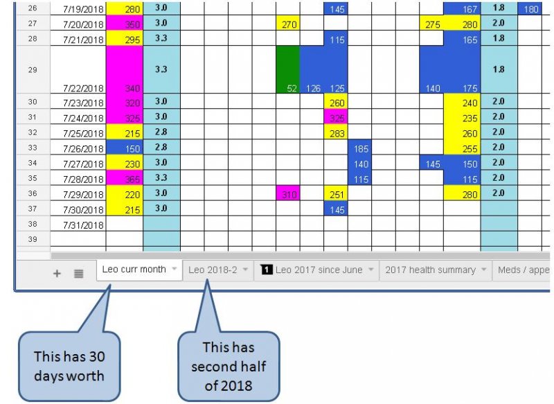 Leo's spreadsheet.JPG