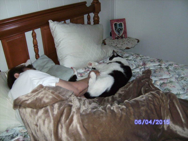 likin' the tummy rub.JPG