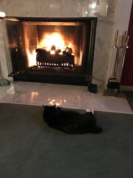 LucibyTheFire.jpg