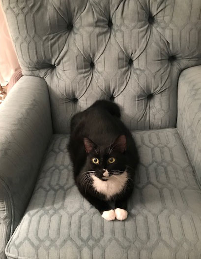 LuciInChair.jpg