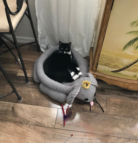 LuciInMouseBED3.jpg