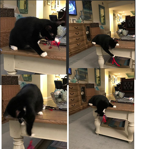 LuciPlayingX4.jpg