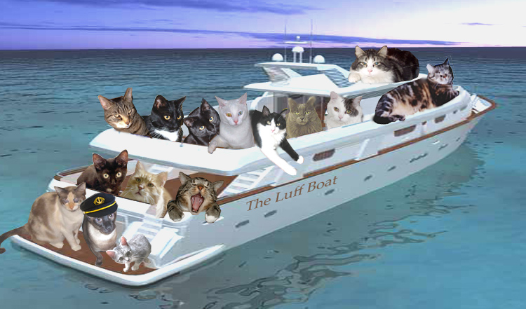 luffboat4.jpg