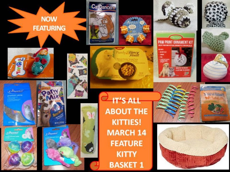 March 14 BOGO kitty 1.jpg