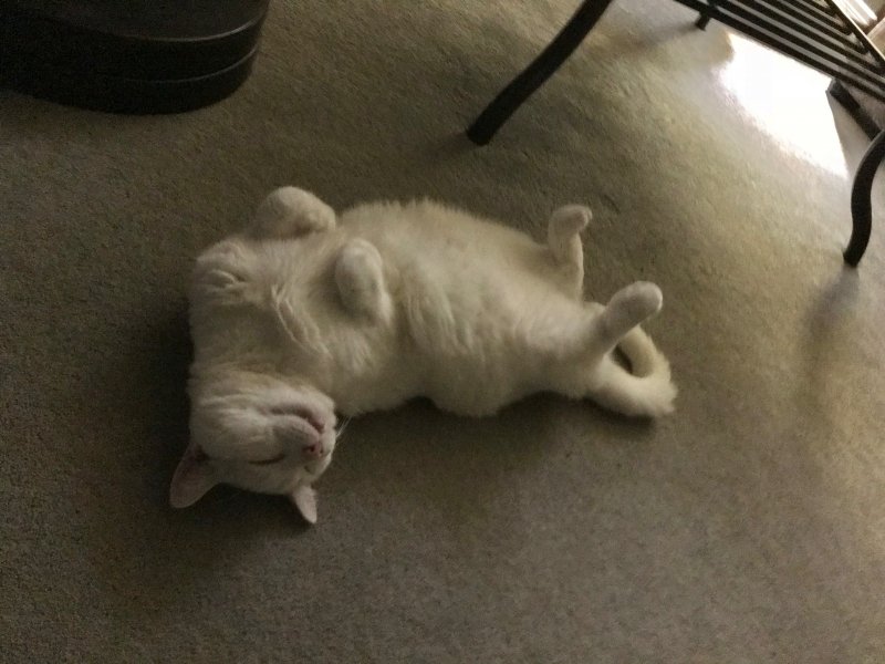 Merrry upside down.jpg