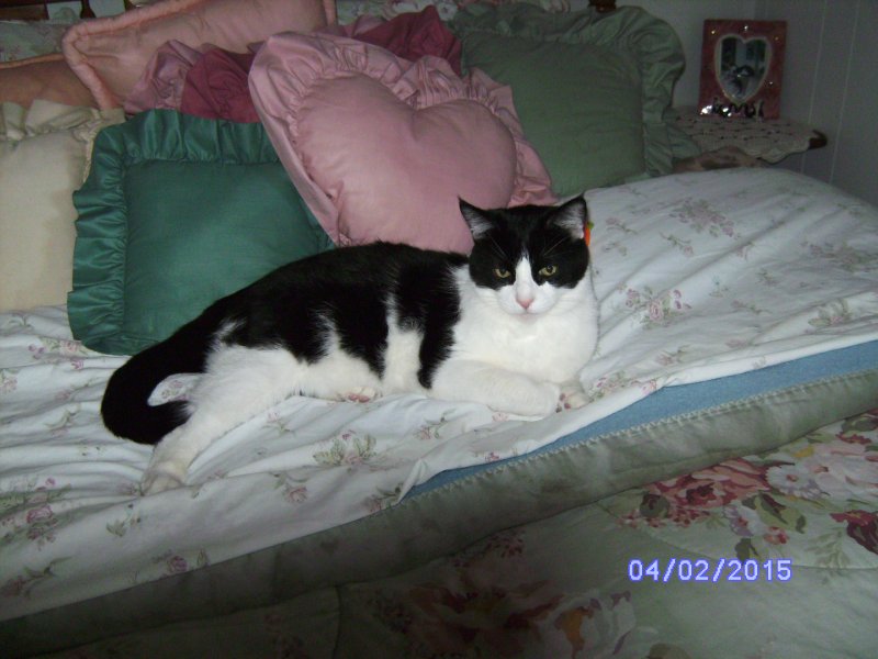 Michael on my bed.JPG