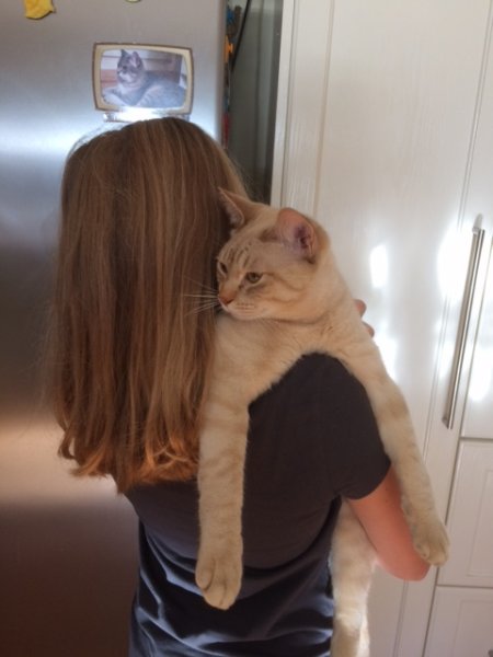 millie and Harry.JPG