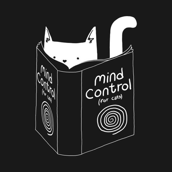 mind control.jpg