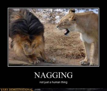 nagging lions.jpg