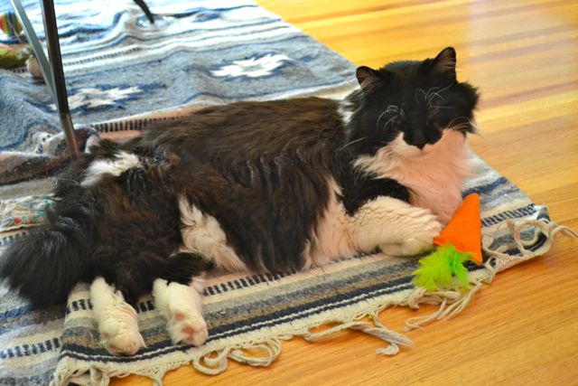 NekoCarrot.jpg