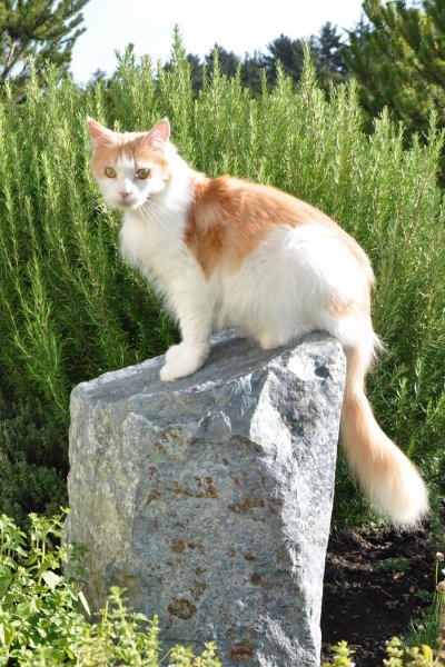 OTJ Day 1 Coral 9-22.jpg