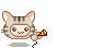 party-1.gif