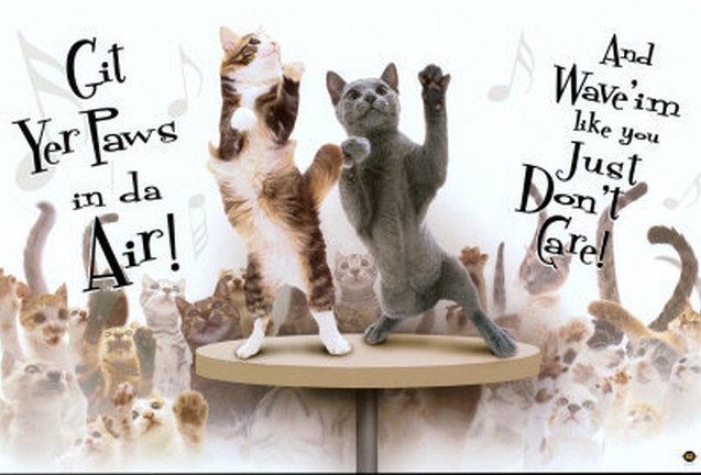 party cats_zpsfdydayjo.jpg