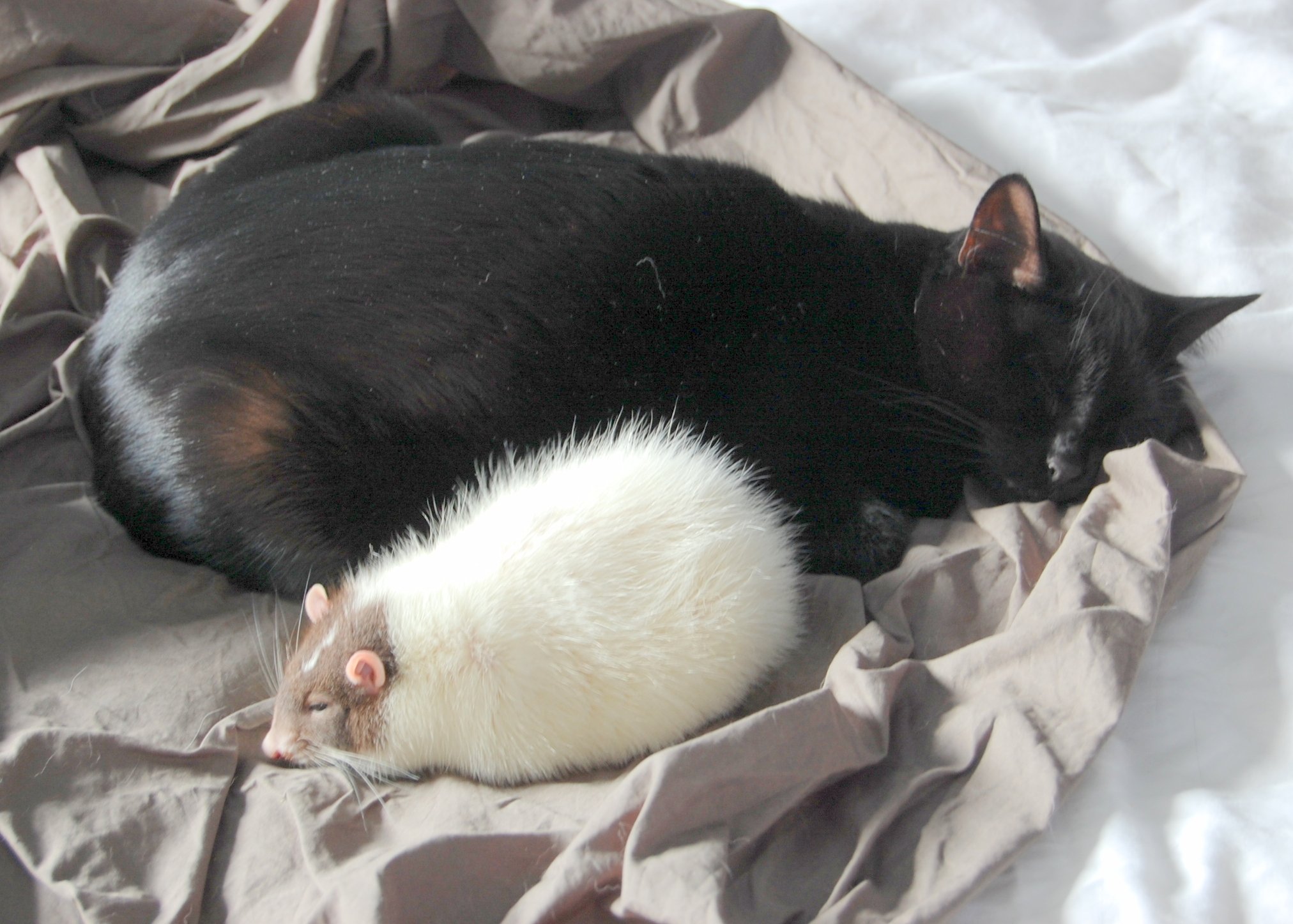 Penny and Nestor.jpg