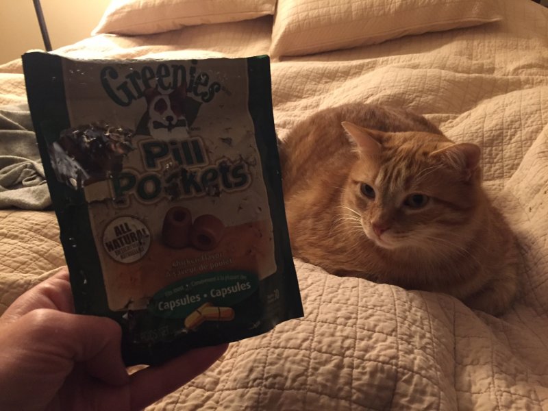 Pill pocket raid.JPG