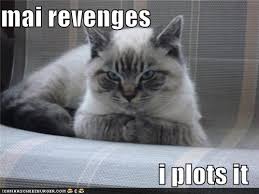 plotting revenge.jpeg