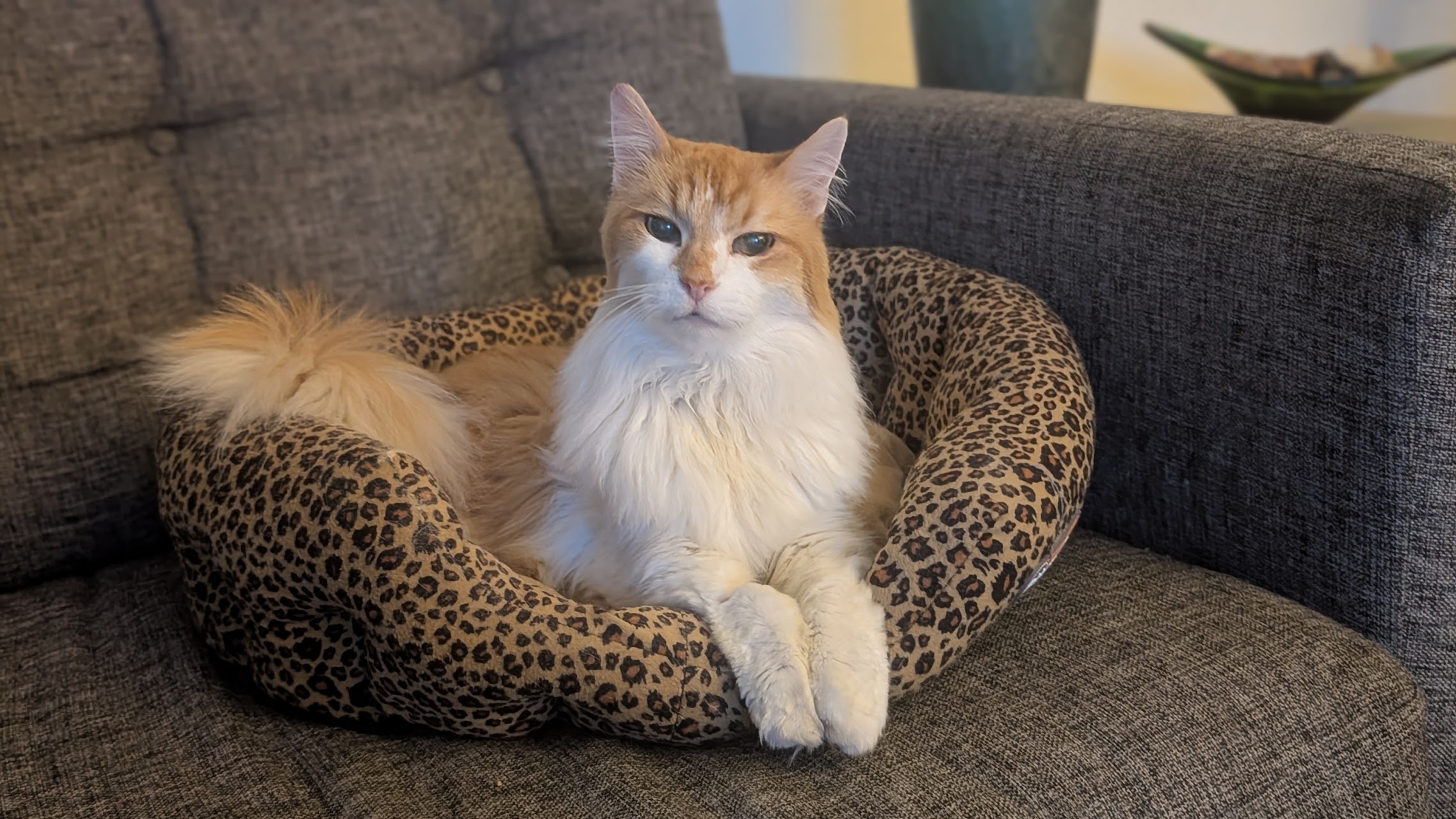 PXL_20250621_031605363.PORTRAIT (1).jpg