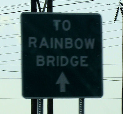Rainbow bridge.jpg