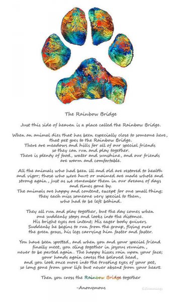 rainbow-bridge-poem-with-colorful-dog-paw-by-sharon-cummings-sharon-cummings.jpg