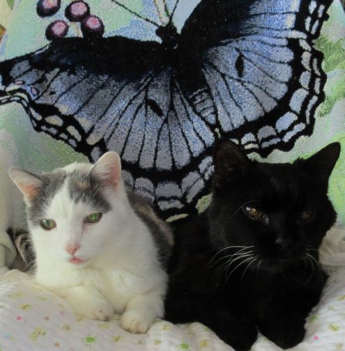 Ravan & Alice 2021.JPG