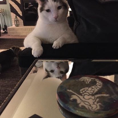 Reflections of Rocky.jpg