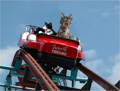RollerCoasterCats.jpg