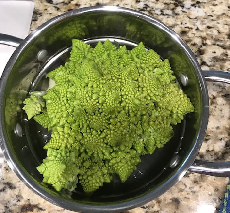 romanescoBroccoli.jpg