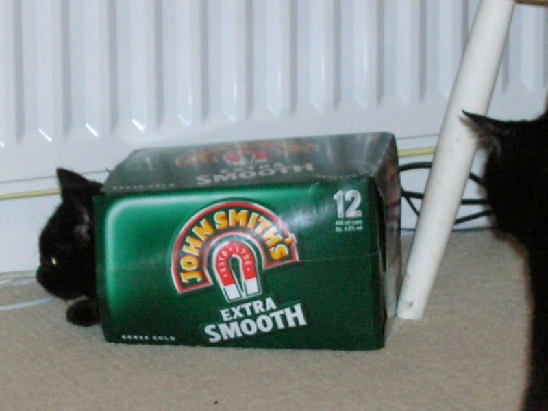 Rosa in the beer.JPG