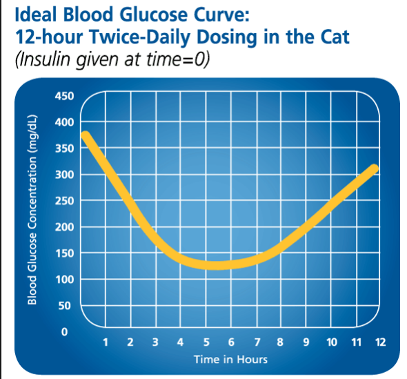 Screen Shot 2015-07-12 at 10.43.22 PM.png