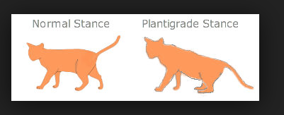 Screen Shot 2016-04-14 at 9.33.40 PM.png