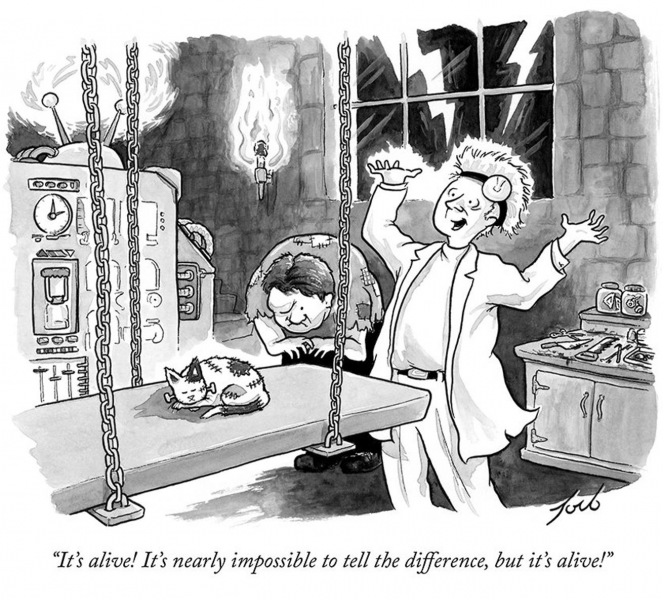 Screen Shot 2020-10-31 at 7.38.51 AM.png